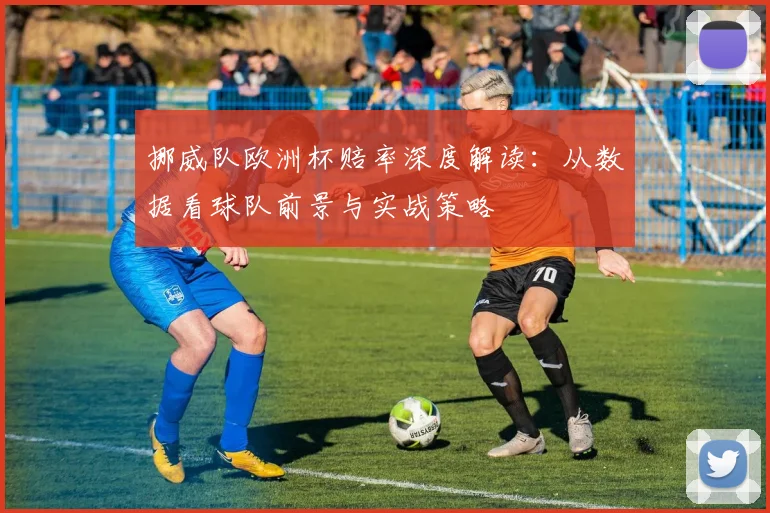 挪威队欧洲杯赔率深度解读：从数据看球队前景与实战策略