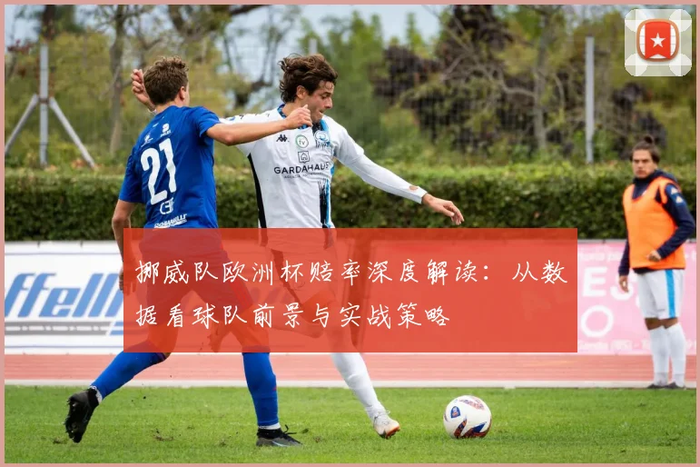 挪威队欧洲杯赔率深度解读:从数据看球队前景与实战策略